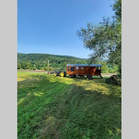 Appartamento Autarkes Tiny House Mit Rheinblick Rumikon Esterno foto