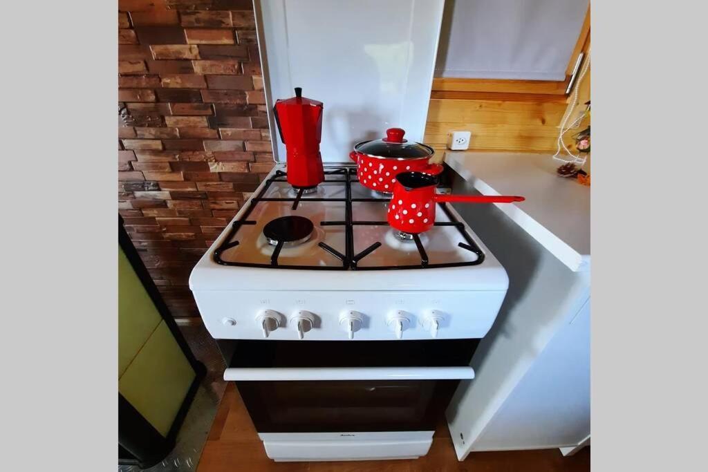 Appartamento Autarkes Tiny House Mit Rheinblick Rumikon Esterno foto