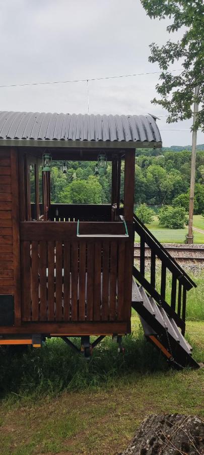 Appartamento Autarkes Tiny House Mit Rheinblick Rumikon Esterno foto