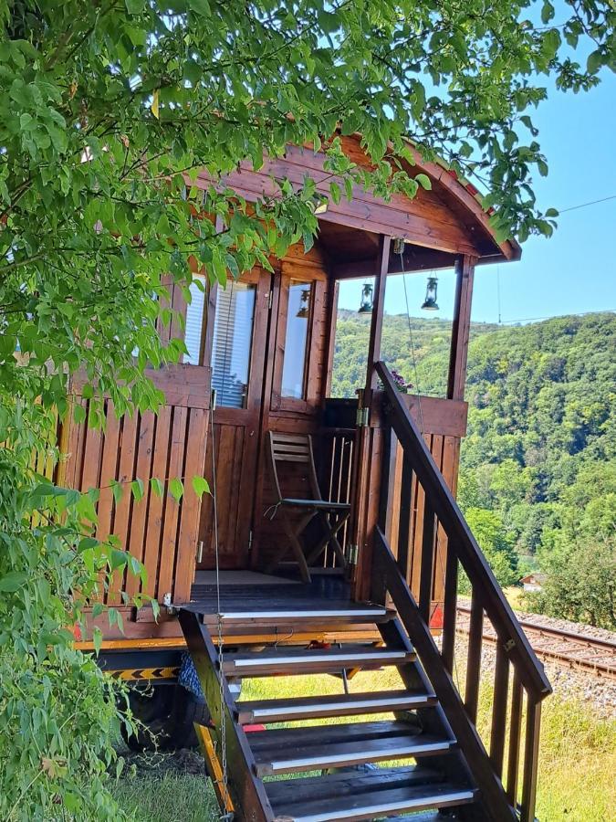 Appartamento Autarkes Tiny House Mit Rheinblick Rumikon Esterno foto